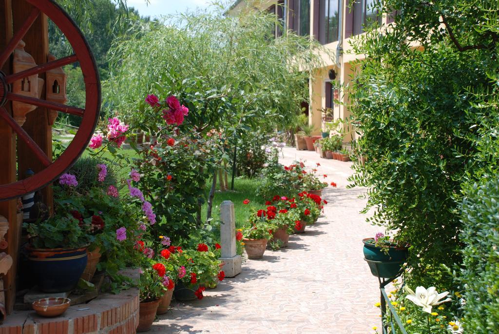 Villa Giulia Islaz Bagian luar foto